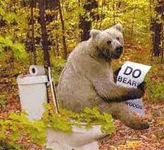 Yes, bears do....in the wood